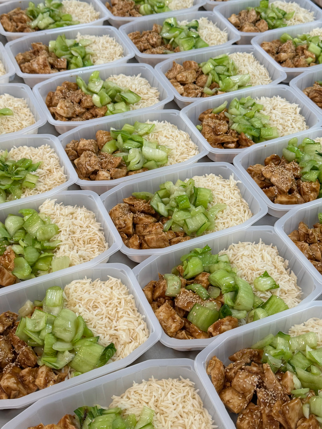 Teriyaki Chicken