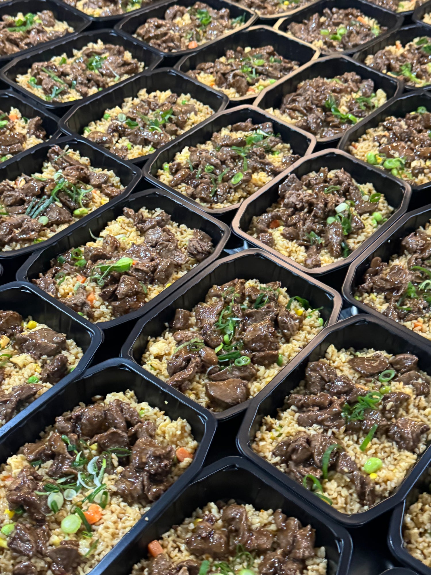 Japanese Beef Fried Rice